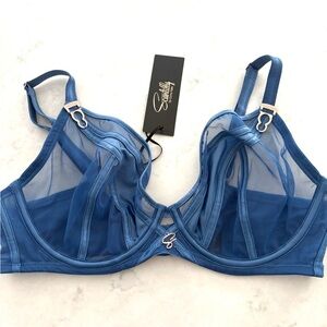 Chantelle Scantilly Blue Mesh Underwire Bra – NWT – Size 34DDD bonus PJ